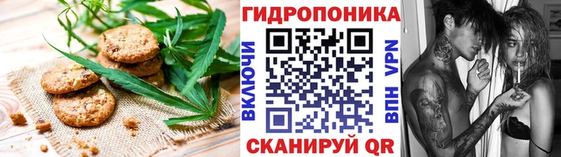 Canna-Cookies марихуана Агрыз