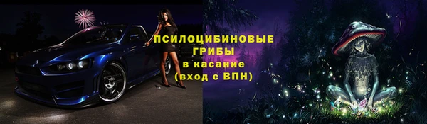 спиды Рославль