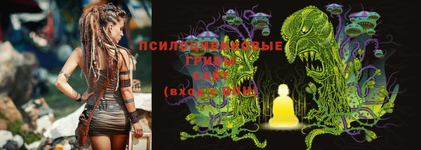 прущая мука Абаза