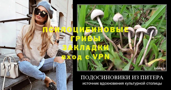 прущая мука Абаза