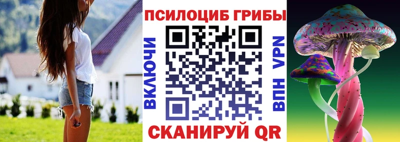Псилоцибиновые грибы мухоморы mega сайт Агрыз